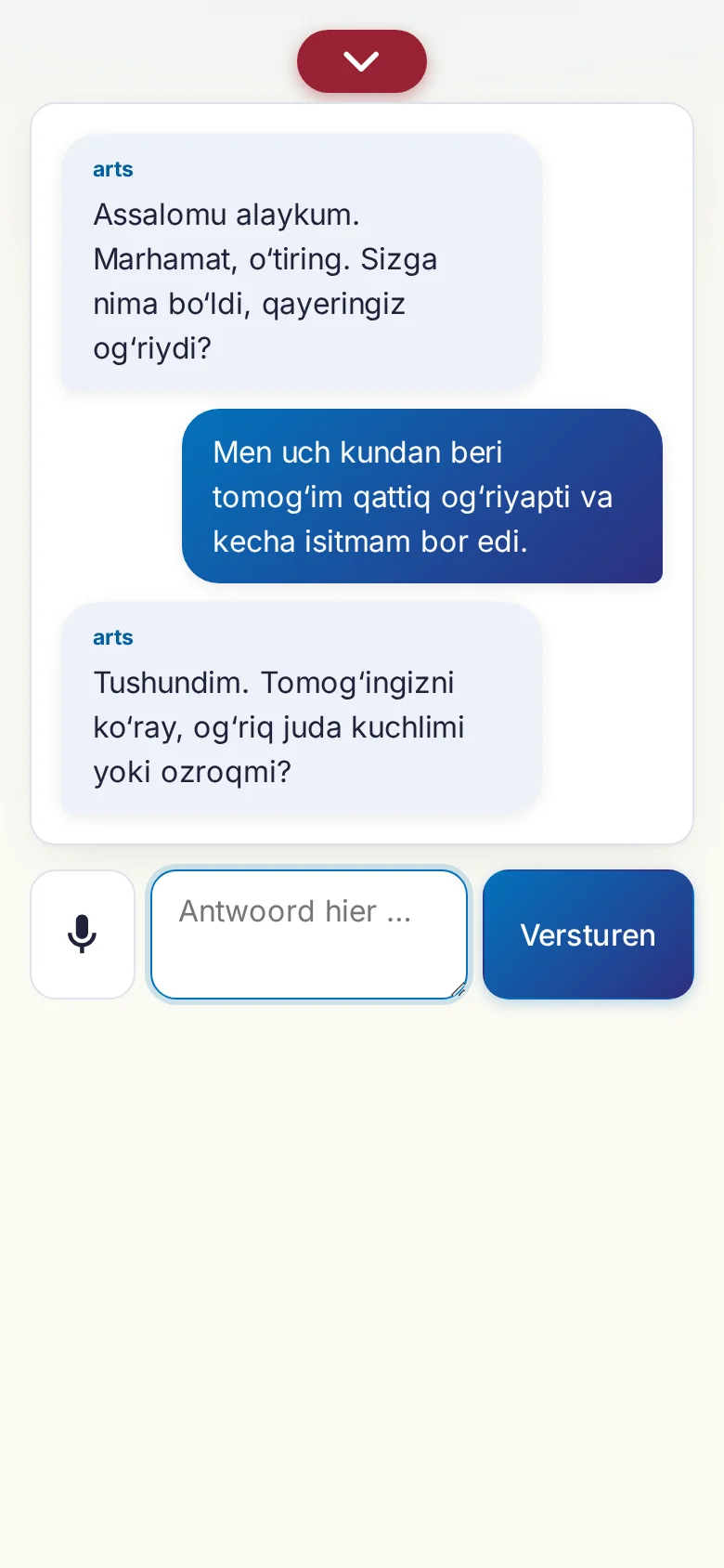 Telefoon: een lopend gesprek met invoer via de microfoon.