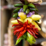 glossario tecnico di sudamericano