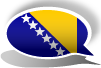 bosniska språket efter 1991